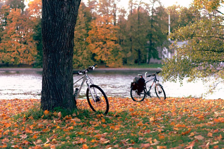 Príprava bicykla na sezónu: jar a jeseň
